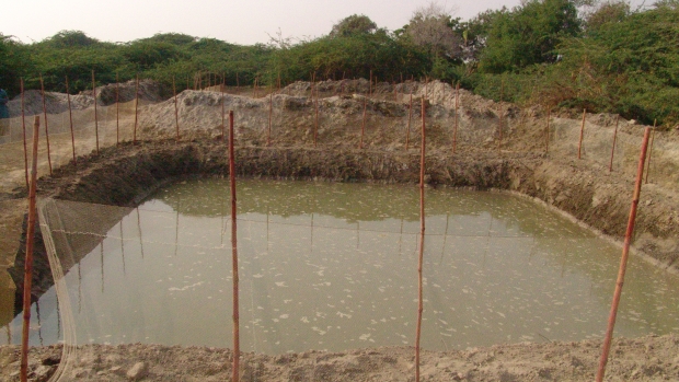 Crab Fattening as an Alternative Means of Livelihood