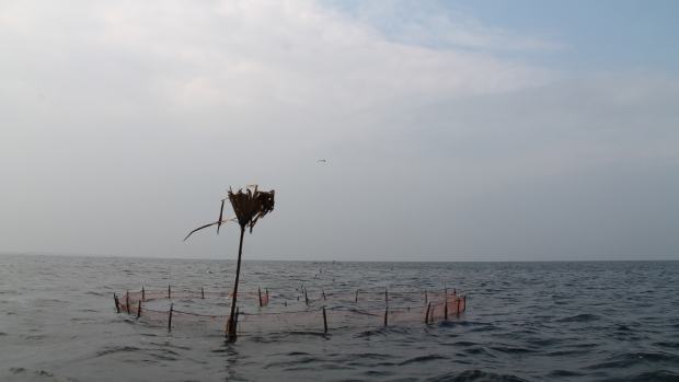 Jaffna Lagoon