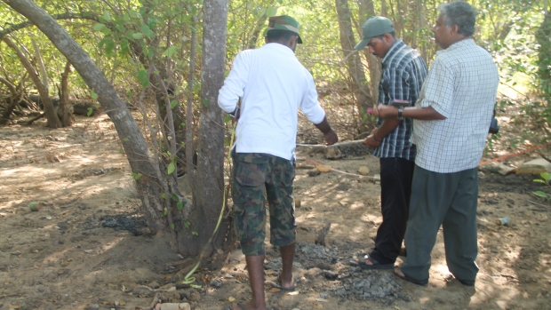 Assessing the diversity of mangroves in the Nayaru Lagoon