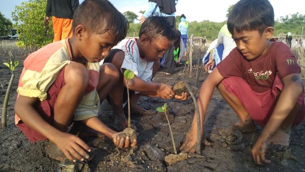 Children taking part in mangrove planting