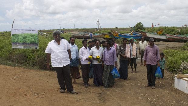 Communities prepare for the first harvest from their ponds 