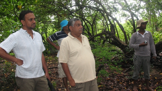 Assessing the diversity of mangroves in Pottuvil, Kudakali, Shastravel and Ulla lagoons. 