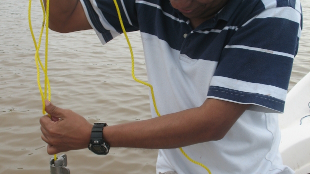 Testing water quality in Panama lagoon 