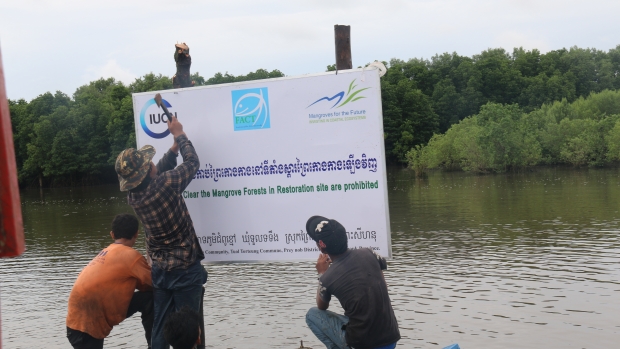 Installation of mangrove protection signboards