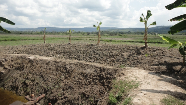 Site of a new integrated farming system to improve sustainable mangrove management in Tuol Kuoki