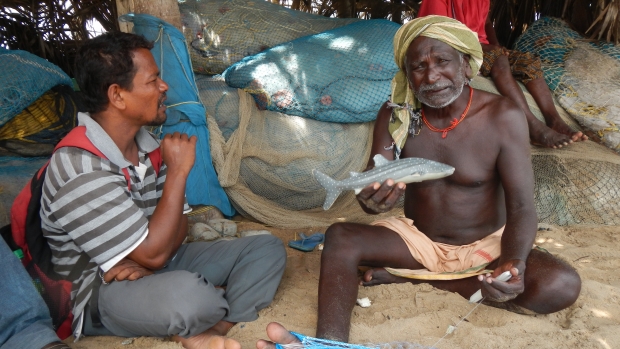 Fishermen interviews in Golabandha, Odisha