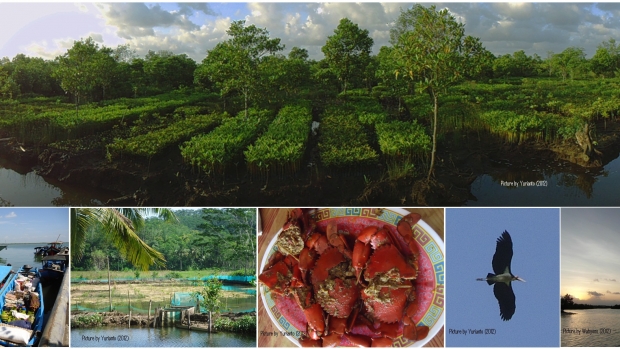 Supporting economic development using aquaculture and mangroves conservation