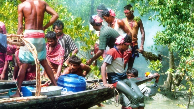 Honey Colletors team in Sundarbans