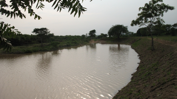 Palugaswewa tank