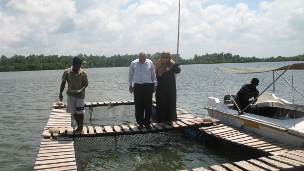 Tourists feed tilapia 