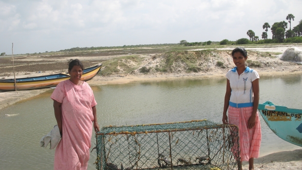 Crab cages Puttalam 