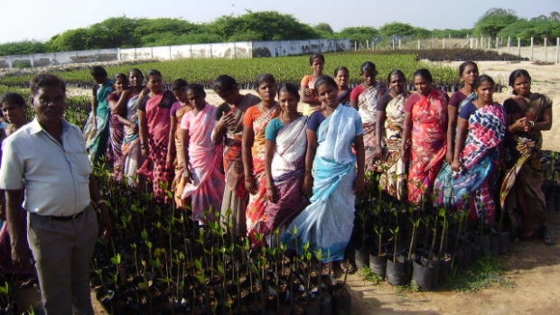 Mangrove Nursery trainings for women in SGHs