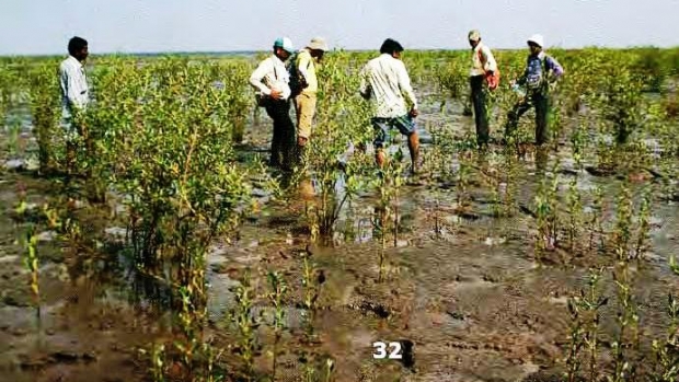 Research Team at Khambat