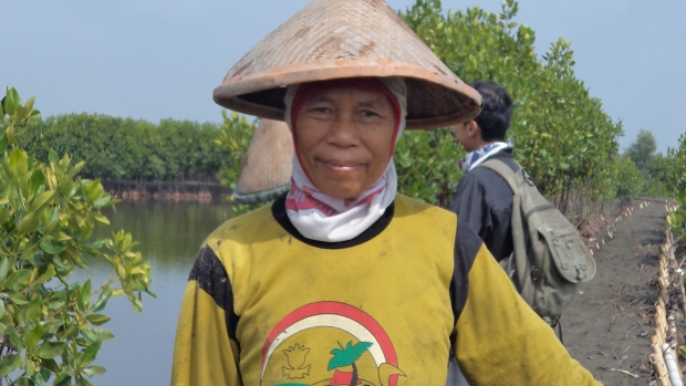 Participation women for coastal rehabilitation and set up alternative income 