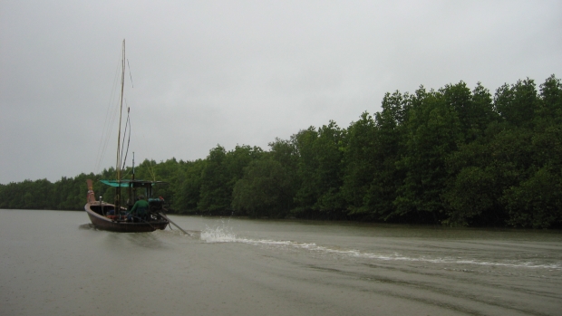 Patrol area of community conservation area