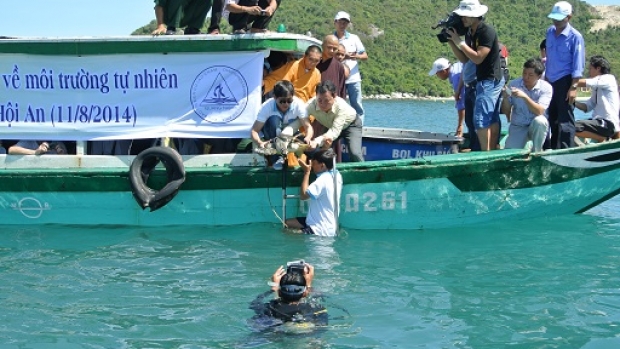 Releasing of marine turtle