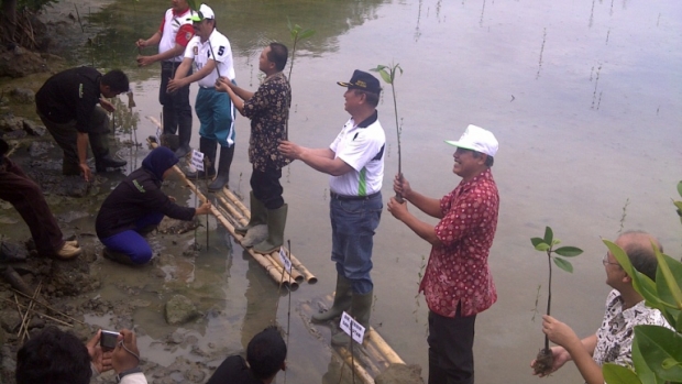 Replanting of Mangrove in LGF Activity 