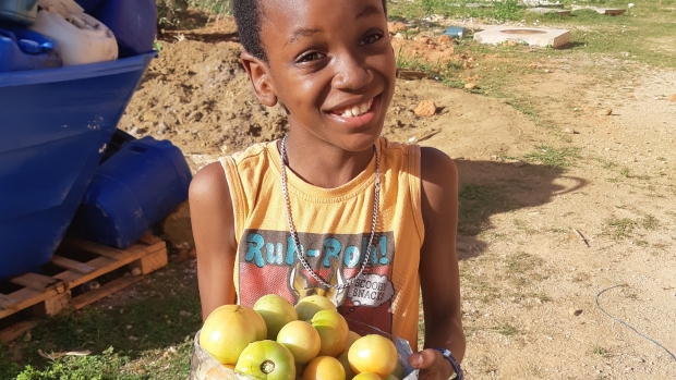 Produce for from the community nursery. 