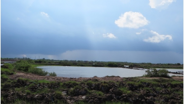 Shrimp pond in Thanh Hai Commune