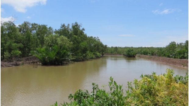 Project area in Thanh Phong, Ben Tre, Vietnam