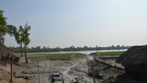 Small community mangroves are aggregating to a larger lanscape change in Shyamnagar