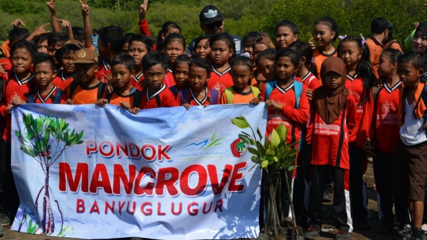 The 5th graders of Banyuglugur Elementary School taking part in mangrove planting