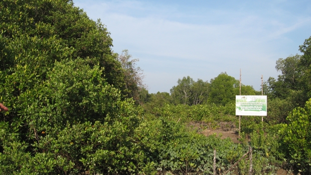 Baan Kuku community protected area 