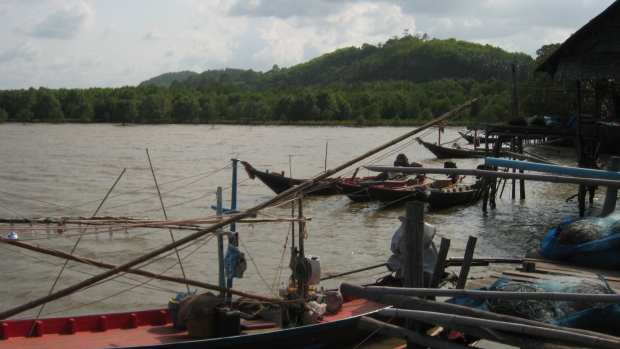 Clam habitat area in Baan Siabyuan 