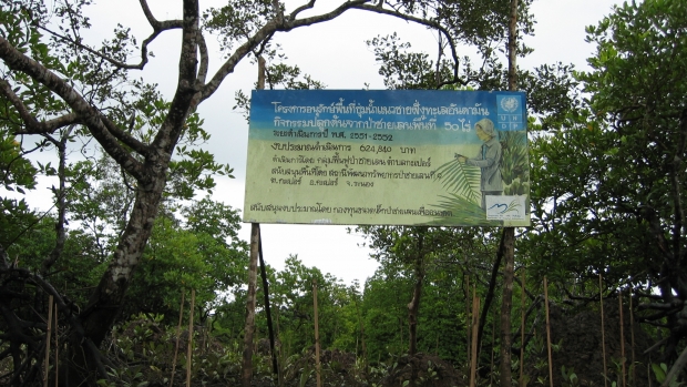 Conserving wetlands Andaman Coast 