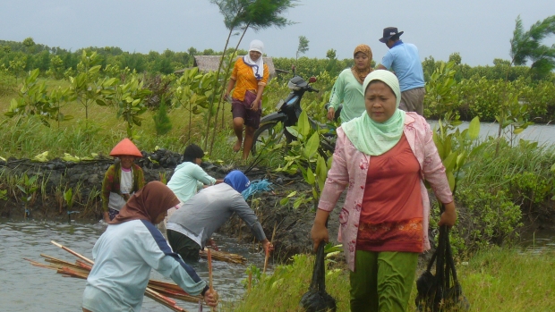 Women beneficiaries planting