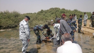 Pakistan Navy plants first mangrove sapling for the Pakistan Navy Mangrove Plantation Campaign