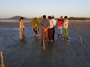 Mr U Win Maung and his team visit the coastal protection zone 
