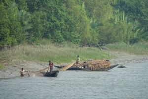 Fishing in the Sundarbans NWHS requires a license. 