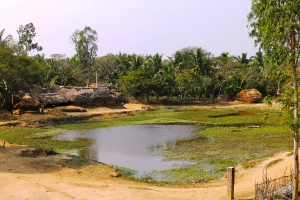 A coastal village in Kendrapara district, Orissa