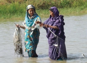 Women in the Sunderbans demonstrating that being involved in aquaculture business - usually dominated by men - is possible. 