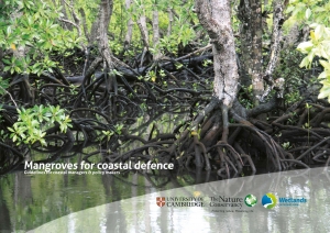 Mangroves for Coastal Defence guidebook cover by TNC and Wetlands International.