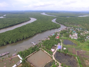 Aerial shot of shrimp ponds in the mangroves