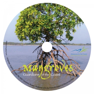 Mangroves: Guardians of the Coast