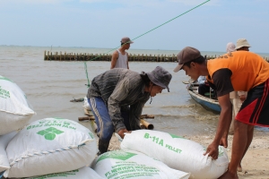 KPAPPD builds semipermeable barriers in Pulau Dua