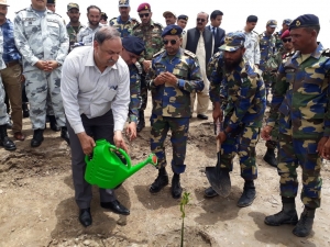 Mahmood Akhtar Cheema, IUCN Pakistan Country Representative, plants a mangrove