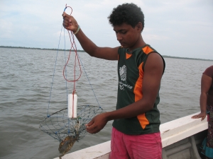 Traditional Mud crab fishing trap