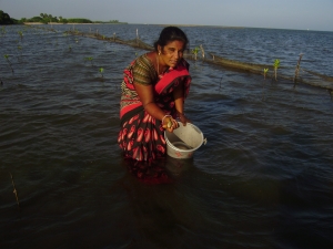 Jenitha displays one of her catches