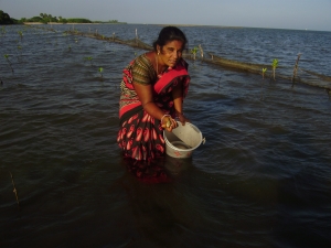 Jenitha displays one of her catches