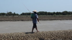 Looking for additional income - fisherman in Demak