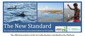 The New Standard newsletter July 2014