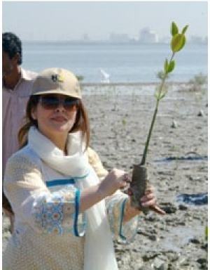 Celebrating ecosystems on the coast of  Pakistan