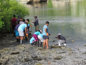 Wildlife club members at Independent school receiving training and planting mangrove seedlings in the wetland site