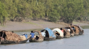 A group of harvesters in the Sundarbans
