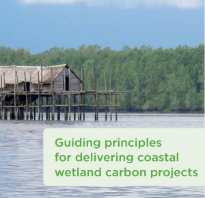 The Guiding Principles for Delivering Coastal Wetland Carbon Projects report