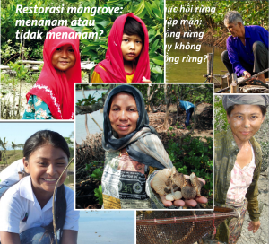 Mangrove Restoration